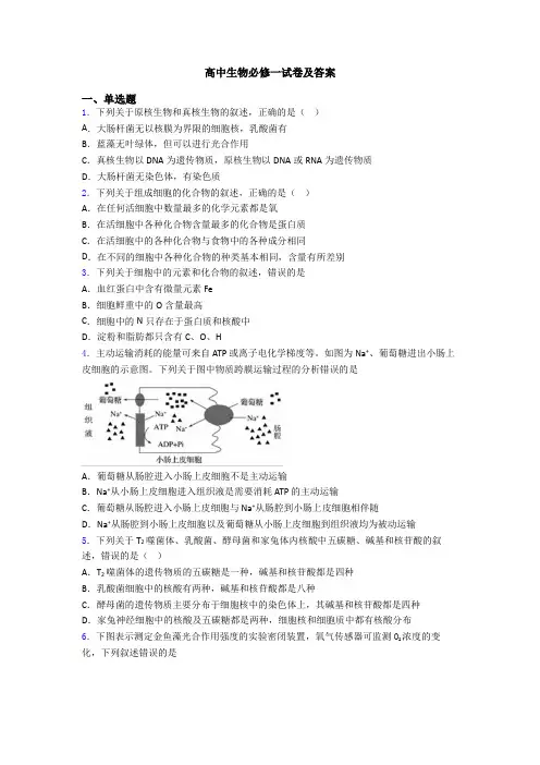 高中生物必修一试卷及答案