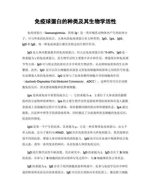 免疫球蛋白的种类及其生物学活性