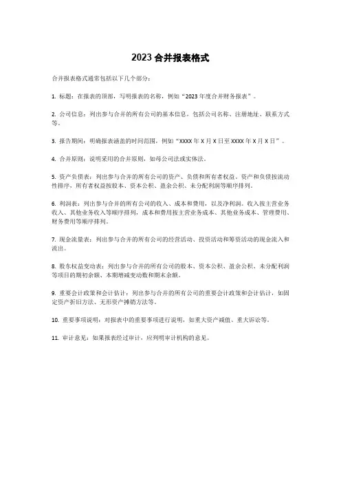 2023合并报表格式