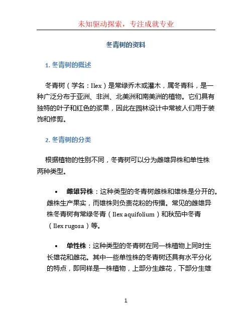 冬青树的资料