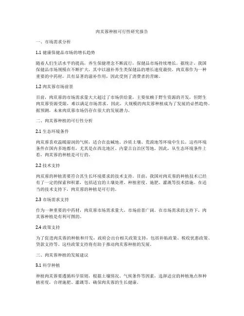 肉苁蓉种植可行性研究报告