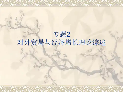 专题2：对外贸易与经济增长理论