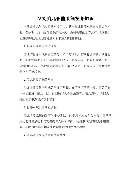 孕期胎儿骨骼系统发育知识