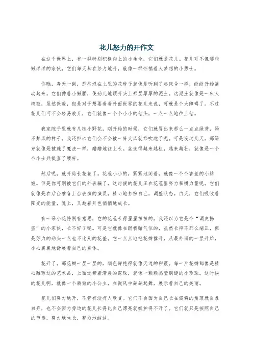花儿怒力的开作文
