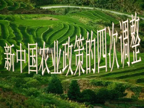 新中国农业政策的四次调整