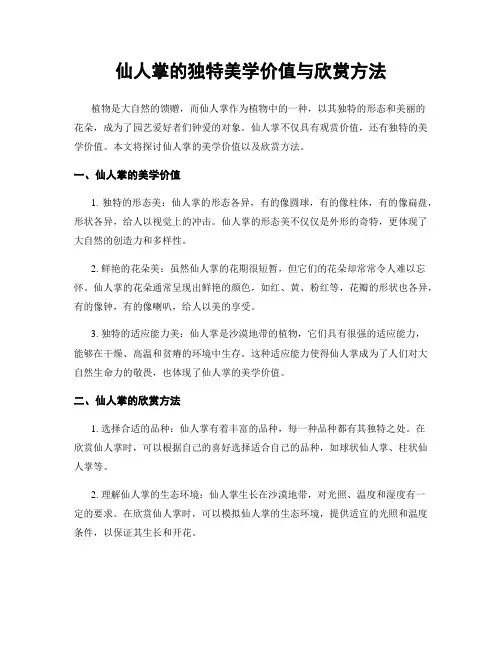 仙人掌的独特美学价值与欣赏方法