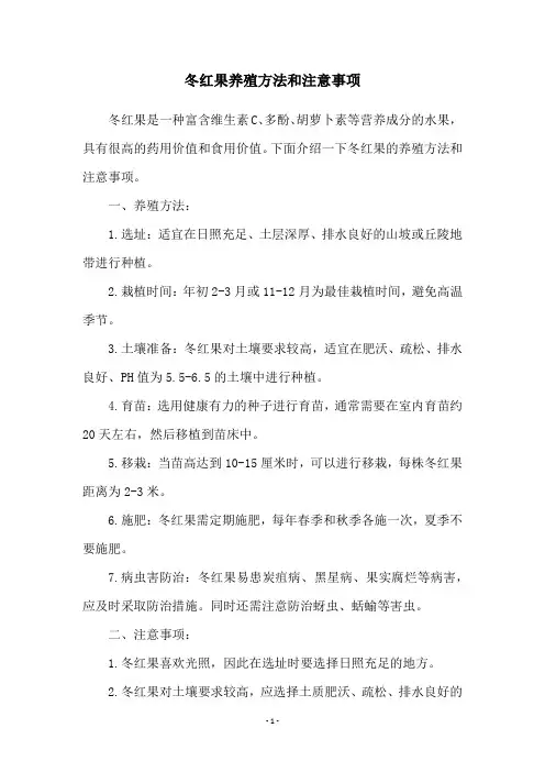 冬红果养殖方法和注意事项