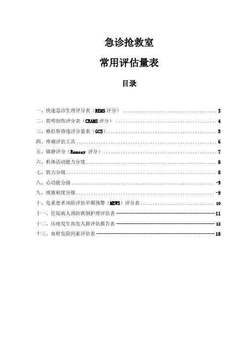 急诊抢救室常用评价量表