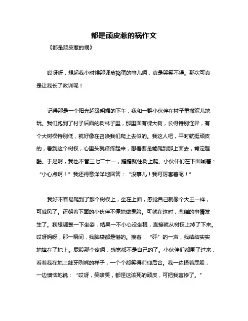 都是顽皮惹的祸作文