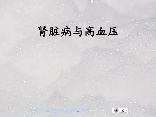 肾脏病与高血压PPT课件
