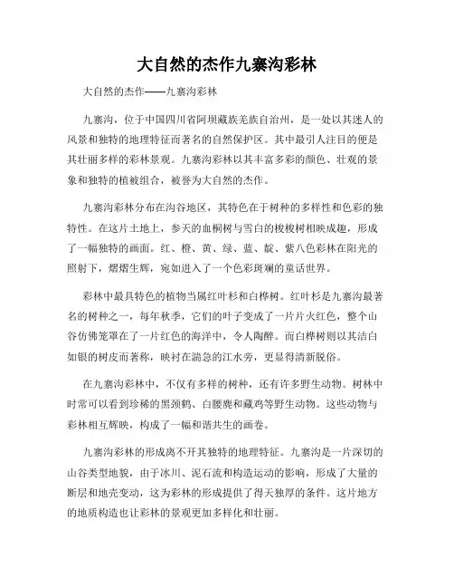 大自然的杰作九寨沟彩林