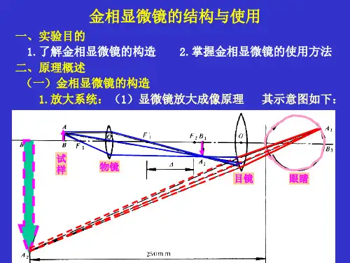 金相显微镜的结构与使用ppt课件