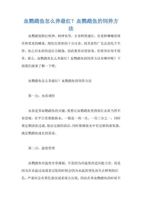 血鹦鹉鱼怎么养最红？血鹦鹉鱼的饲养方法