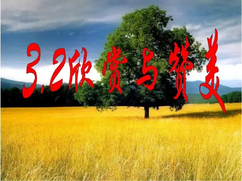 八年级政治上册 3.2 欣赏与赞美课件 粤教版