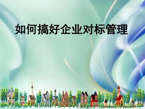标杆管理操作实务ppt课件