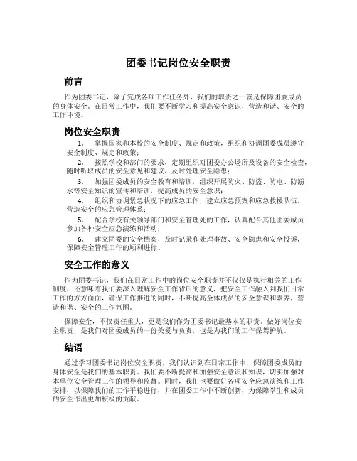 团委书记岗位安全职责