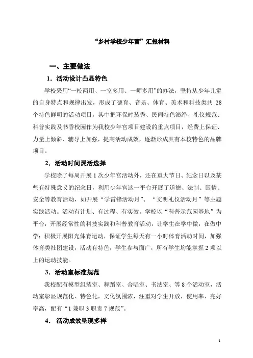 小学少年宫汇报材料