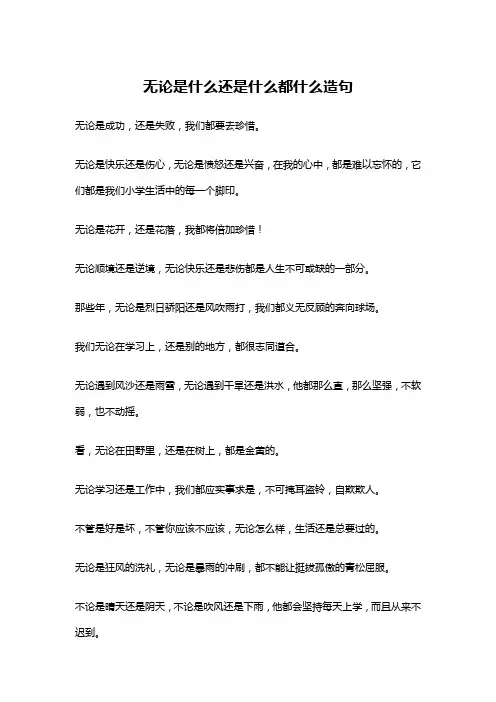 无论是什么还是什么都什么造句