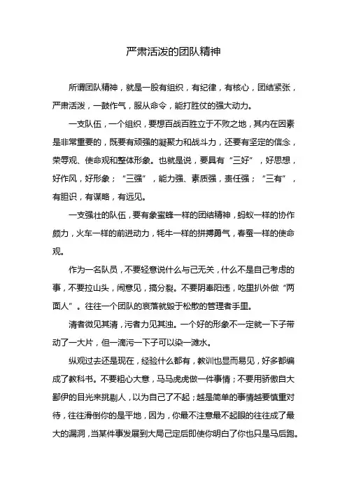 严肃活泼的团队精神