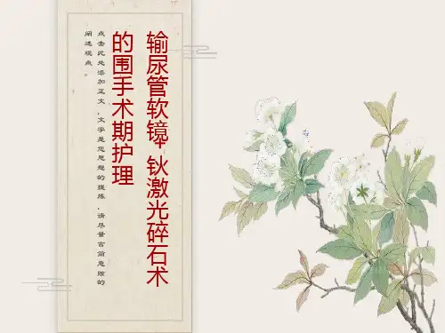 输尿管软镜教学讲课