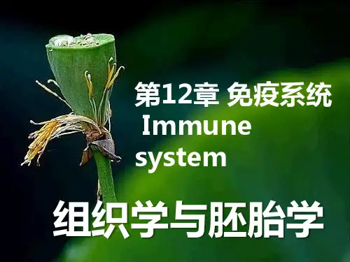 组织学与胚胎学：第12章 免疫系统