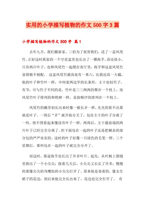 实用的小学描写植物的作文500字3篇