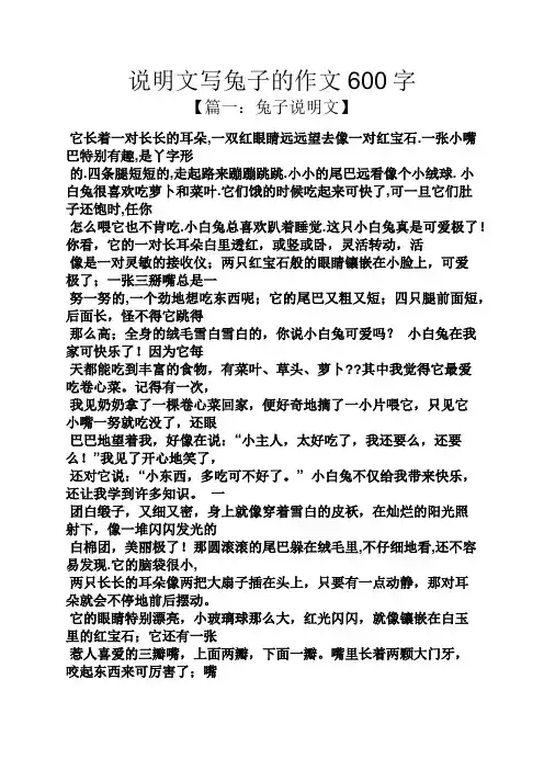 说明文作文之说明文写兔子的作文600字