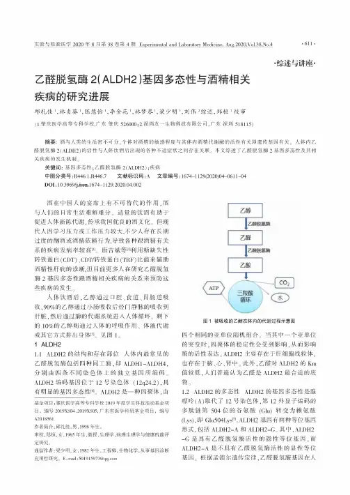 乙醛脱氢酶2(ALDH2)基因多态性与酒精相关疾病的研究进展