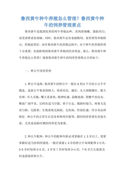 鲁西黄牛种牛养殖怎么管理？鲁西黄牛种牛的饲养管理要点