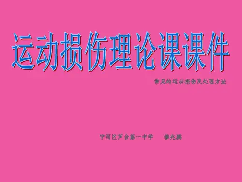 运动损伤理论课ppt课件