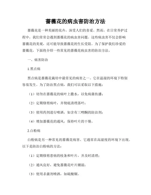 蔷薇花的病虫害防治方法