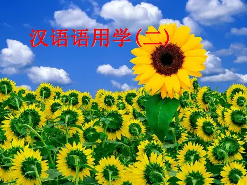 汉语语用学(二)