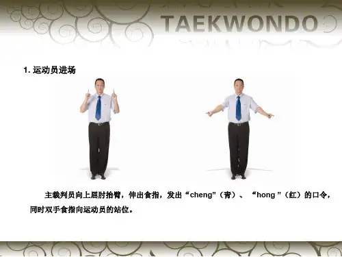 竞技裁判员手势