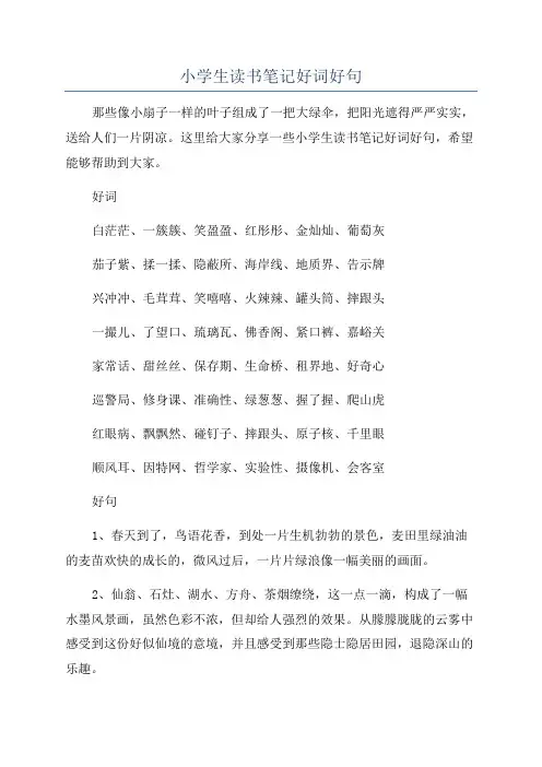 小学生读书笔记好词好句