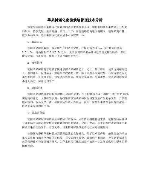 苹果树矮化密植栽培管理技术分析