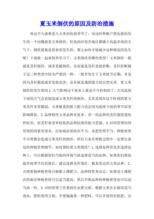 夏玉米倒伏的原因及防治措施