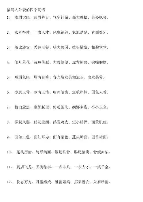 描写人外貌的四字词语