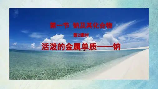 钠及其化合物  课件-高一化学人教版(2019)必修第一册 