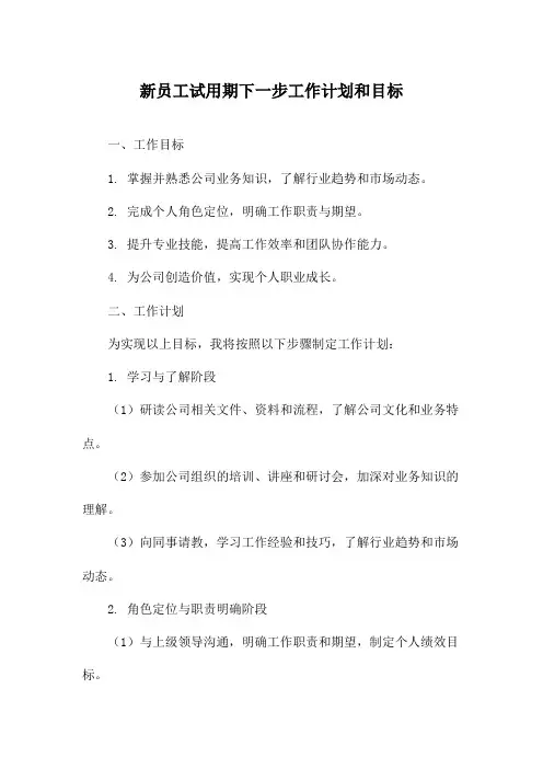 新员工试用期下一步工作计划和目标