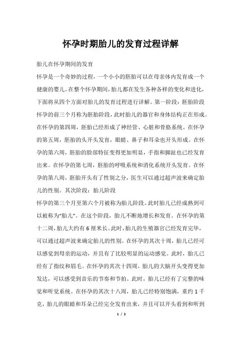 怀孕时期胎儿的发育过程详解