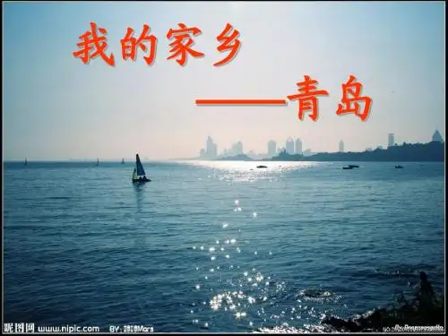 青岛简介