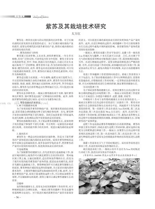 紫苏及其栽培技术研究
