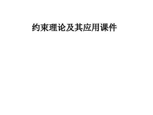 约束理论及其应用课件