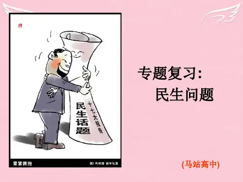 高考政治热点专题复习民生问题课件