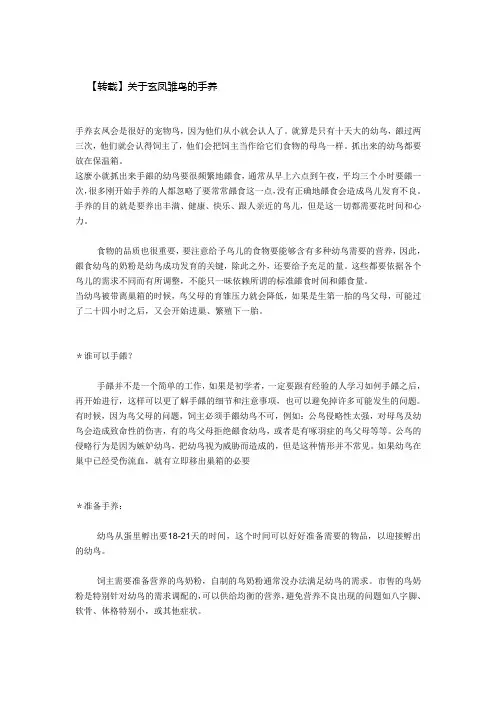 关于玄凤雏鸟的手养
