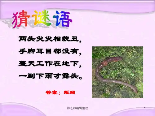 青岛小学科学六上《20、蚯蚓找家》PPT课件 (4)