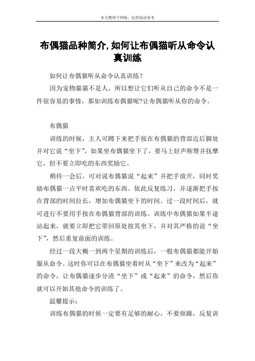 布偶猫品种简介,如何让布偶猫听从命令认真训练