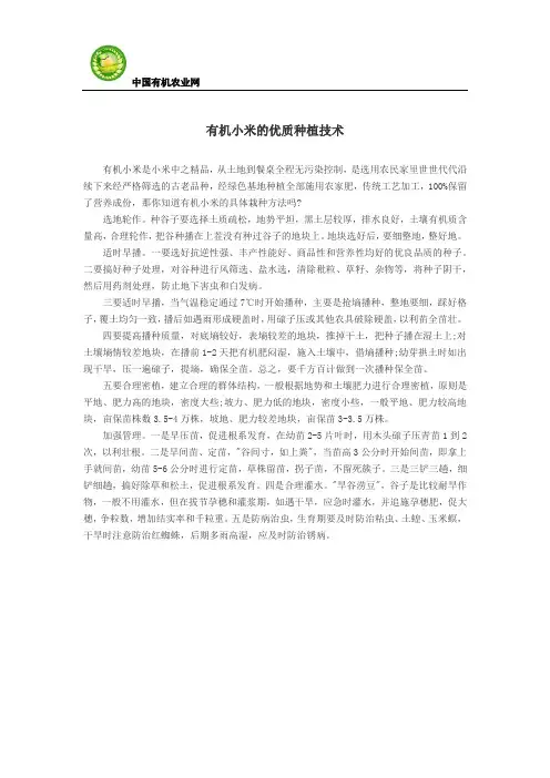 有机小米的优质种植技术