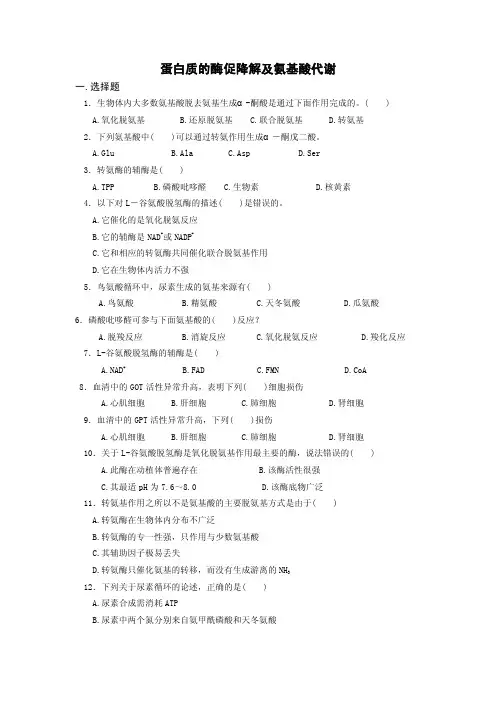 氨基酸代谢——精选推荐