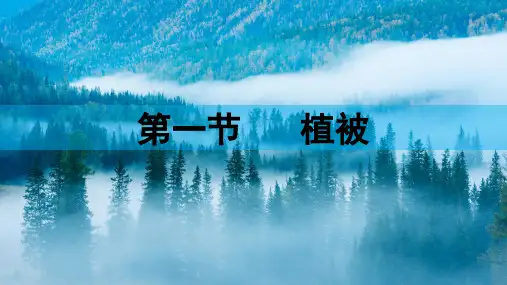 植被(课件)高一地理优质课件教学设计